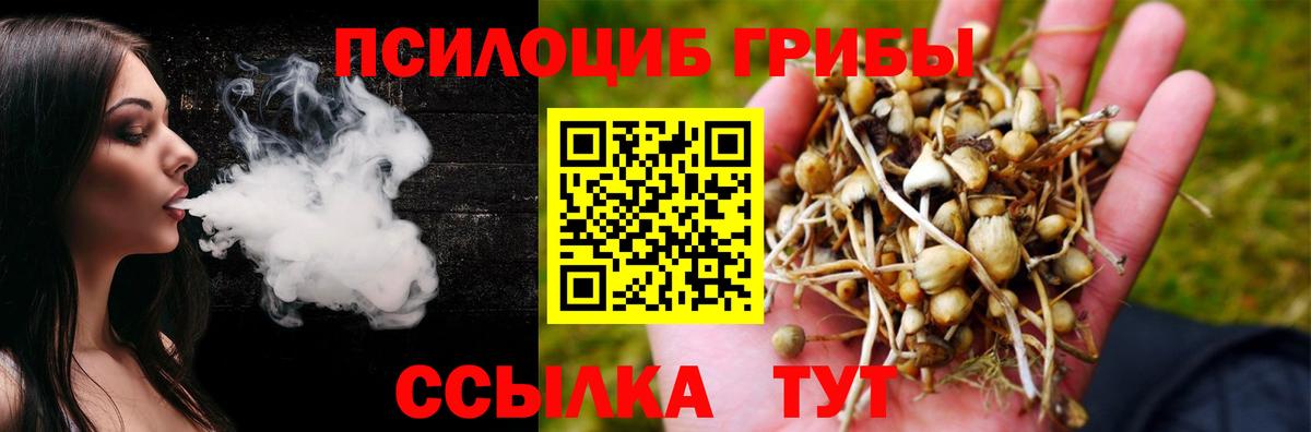 купить  сайты  Псилоцибиновые грибы мухоморы  Вход с VPN  Тула 